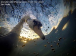 Galerie de résultats du photographe sous-marin de l’année 2021 ! (Galerie + vidéo) By Jack35 12
