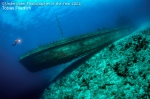 Galerie de résultats du photographe sous-marin de l’année 2021 ! (Galerie + vidéo) By Jack35 5
